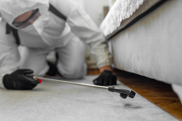 Professional Termite Control technician working in Philomath, OR